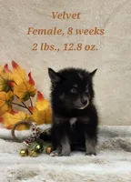 processed/ef0ff75c-8250-4d5f-9df5-f17d730d1811/listing/a2720829-99dd-41bd-95d5-38ab0d76f87b/1411cd77-9651-4197-81cb-7d12302eae7e