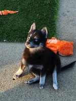 processed/ef0ff75c-8250-4d5f-9df5-f17d730d1811/listing/a2720829-99dd-41bd-95d5-38ab0d76f87b/4d16a866-301d-441d-a270-715c95efb3b4