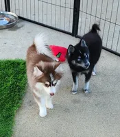 processed/ef0ff75c-8250-4d5f-9df5-f17d730d1811/listing/a2720829-99dd-41bd-95d5-38ab0d76f87b/86108a19-8f61-491d-95b8-58e7a87c5fd3