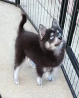 processed/ef0ff75c-8250-4d5f-9df5-f17d730d1811/listing/a2720829-99dd-41bd-95d5-38ab0d76f87b/8856601e-3c16-4474-b825-1ce83e8aa9ba