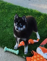 processed/ef0ff75c-8250-4d5f-9df5-f17d730d1811/listing/a2720829-99dd-41bd-95d5-38ab0d76f87b/9155ff57-dae5-47e9-b5cd-da78df4aef76