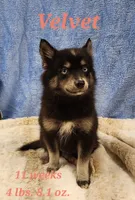 processed/ef0ff75c-8250-4d5f-9df5-f17d730d1811/listing/a2720829-99dd-41bd-95d5-38ab0d76f87b/cd7d82d9-2ba3-4843-9e95-ea94b515e6c4