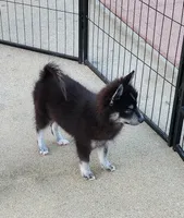 processed/ef0ff75c-8250-4d5f-9df5-f17d730d1811/listing/a2720829-99dd-41bd-95d5-38ab0d76f87b/ef5d7561-3894-41e7-b08e-a001fbc0b662