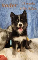 processed/ef0ff75c-8250-4d5f-9df5-f17d730d1811/listing/be9e33ba-4f84-45fb-90fe-a276cd05184a/2402088e-8bdb-486c-b27e-47f178be9aae