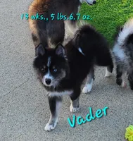 processed/ef0ff75c-8250-4d5f-9df5-f17d730d1811/listing/be9e33ba-4f84-45fb-90fe-a276cd05184a/2c566c93-7ad3-4102-b118-aacc1954e09a