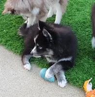 processed/ef0ff75c-8250-4d5f-9df5-f17d730d1811/listing/be9e33ba-4f84-45fb-90fe-a276cd05184a/367b0ddf-fd69-47fa-ab6a-1c2e91feb2b3