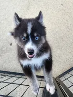 processed/ef0ff75c-8250-4d5f-9df5-f17d730d1811/listing/be9e33ba-4f84-45fb-90fe-a276cd05184a/4b06036a-a0c3-456e-a680-6bc30ff7c510