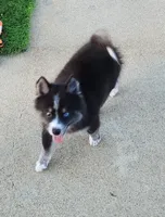 processed/ef0ff75c-8250-4d5f-9df5-f17d730d1811/listing/be9e33ba-4f84-45fb-90fe-a276cd05184a/4c1d6033-209c-4fb8-b351-f7ba3d49bea2