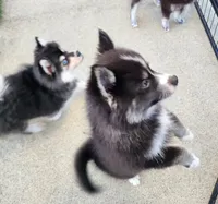 processed/ef0ff75c-8250-4d5f-9df5-f17d730d1811/listing/be9e33ba-4f84-45fb-90fe-a276cd05184a/4d92418c-f2af-4f09-b529-d33d338285ca