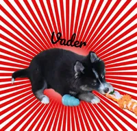 processed/ef0ff75c-8250-4d5f-9df5-f17d730d1811/listing/be9e33ba-4f84-45fb-90fe-a276cd05184a/50b707bb-0f6b-4cf6-87b1-d54c34f70ea1