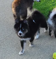 processed/ef0ff75c-8250-4d5f-9df5-f17d730d1811/listing/be9e33ba-4f84-45fb-90fe-a276cd05184a/546f8923-092e-49ce-85ae-5a0a4e26ee43