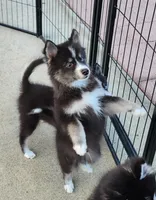 processed/ef0ff75c-8250-4d5f-9df5-f17d730d1811/listing/be9e33ba-4f84-45fb-90fe-a276cd05184a/bc6fb67e-fe43-430a-adc5-20381807d740