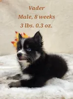 processed/ef0ff75c-8250-4d5f-9df5-f17d730d1811/listing/be9e33ba-4f84-45fb-90fe-a276cd05184a/c3234be7-93f2-4417-8a4e-af603e98267e