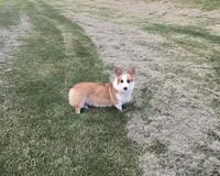 processed/ef16a6d2-cc28-4ecc-9a71-ec2986ba56e3/facility/3707d02b-60fb-44ba-86e2-00dccec7302b