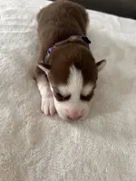 processed/ef1cc44a-7c96-488f-be2e-e0da8b6d3f8d/listing/08bb2a5f-e504-41b3-830d-514e0b0c572e/05443ad6-2bf3-4ebb-908d-0b0c7bcaabb9