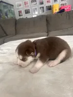 processed/ef1cc44a-7c96-488f-be2e-e0da8b6d3f8d/listing/08bb2a5f-e504-41b3-830d-514e0b0c572e/378e5418-92ad-46d5-aeb6-e2263cca1617