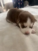 processed/ef1cc44a-7c96-488f-be2e-e0da8b6d3f8d/listing/08bb2a5f-e504-41b3-830d-514e0b0c572e/de2891de-22ba-4f8b-8501-4c5062bcc33c