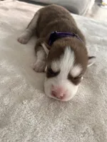 processed/ef1cc44a-7c96-488f-be2e-e0da8b6d3f8d/listing/08bb2a5f-e504-41b3-830d-514e0b0c572e/e93b36e2-1cf6-4a5a-97d5-608e8b57de2d