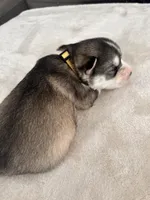 processed/ef1cc44a-7c96-488f-be2e-e0da8b6d3f8d/listing/0e65f8d6-20e1-43d6-8752-da03faa93a8b/0367cfd1-1160-4bc1-8979-5bd5ab95bc5c