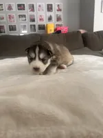 processed/ef1cc44a-7c96-488f-be2e-e0da8b6d3f8d/listing/0e65f8d6-20e1-43d6-8752-da03faa93a8b/4d5ae243-dd6c-40af-99df-a8661621928e