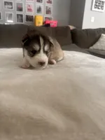 processed/ef1cc44a-7c96-488f-be2e-e0da8b6d3f8d/listing/0e65f8d6-20e1-43d6-8752-da03faa93a8b/c38acfe4-9c0f-43dc-826e-457988424082