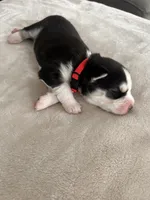 processed/ef1cc44a-7c96-488f-be2e-e0da8b6d3f8d/listing/88bda73c-fca3-4661-8d41-e426d19337a1/499775f9-45b3-4c91-a45f-cbfda908c7b1