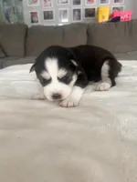 processed/ef1cc44a-7c96-488f-be2e-e0da8b6d3f8d/listing/88bda73c-fca3-4661-8d41-e426d19337a1/f40ec3ae-e270-42e5-8fb9-56e5091a9ab7