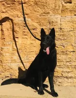 processed/ef21e5e5-af9e-4c6a-a536-1022899059dc/facility/01b72692-2edd-43b0-9057-338d56b2c56b