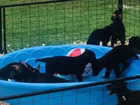 processed/ef21e5e5-af9e-4c6a-a536-1022899059dc/facility/62fccea8-34f7-4c24-ae6e-b9c315677a7d