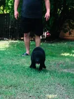 processed/ef21e5e5-af9e-4c6a-a536-1022899059dc/facility/84652efd-c36d-467e-807d-d377d0a80df7