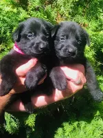 processed/ef21e5e5-af9e-4c6a-a536-1022899059dc/facility/8e7670d2-c8de-4329-a53d-68172db89d59