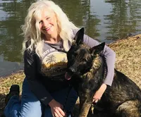 Havoc, a male German Shepherd Dog for sale in Tyler, TX – 5 of 8
