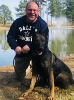 Havoc, a male German Shepherd Dog for sale in Tyler, TX – 4 of 8