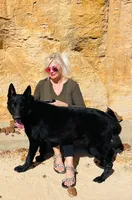 Caesar & Atila Litter, a  German Shepherd Dog for sale in Tyler, TX – Photo 2 of 10