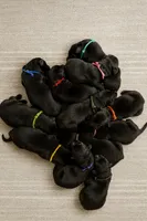 Caesar & Atila Litter, a  German Shepherd Dog for sale in Tyler, TX – Photo 1 of 10