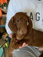 processed/ef359c5a-a487-4582-a80c-ae66ad7cfd8b/listing/337a4a0b-4e11-4223-872f-1cc011394d55/08e0f5aa-3e23-4f06-bccf-8e42d8c674c8