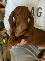 processed/ef359c5a-a487-4582-a80c-ae66ad7cfd8b/listing/337a4a0b-4e11-4223-872f-1cc011394d55/7b35972a-595e-4eb2-ad5e-20f2f85b0fa8