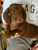 processed/ef359c5a-a487-4582-a80c-ae66ad7cfd8b/listing/337a4a0b-4e11-4223-872f-1cc011394d55/b7360463-331e-4d8d-998b-21e213d8da5a