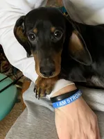 processed/ef359c5a-a487-4582-a80c-ae66ad7cfd8b/listing/d1f11d25-29d3-4c97-8e8c-bc15962781f6/3dfea0f8-7117-4da2-998b-1839c6496bb8