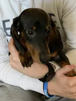 processed/ef359c5a-a487-4582-a80c-ae66ad7cfd8b/listing/d1f11d25-29d3-4c97-8e8c-bc15962781f6/6329bec9-75fd-40f9-bedc-ad8dc657f23a