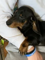 processed/ef359c5a-a487-4582-a80c-ae66ad7cfd8b/listing/d1f11d25-29d3-4c97-8e8c-bc15962781f6/ede468c7-c3de-4adb-9c05-493f1bc36e54