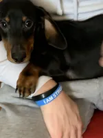 processed/ef359c5a-a487-4582-a80c-ae66ad7cfd8b/listing/d1f11d25-29d3-4c97-8e8c-bc15962781f6/f685fed4-6c11-4d70-9108-a4c9e50aa3d1