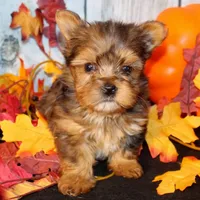 processed/ef3bf492-c4b6-4f52-a740-43f19df76f6d/facility/1a55ffe1-487d-4339-9e59-ceccd7c5fe91