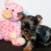 processed/ef3bf492-c4b6-4f52-a740-43f19df76f6d/facility/3a9f4a72-4c07-4cb7-89e8-037780f5bc4c