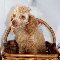 processed/ef3bf492-c4b6-4f52-a740-43f19df76f6d/facility/846a9b89-d7fa-4ad1-837e-237976ba6034