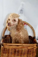 processed/ef3bf492-c4b6-4f52-a740-43f19df76f6d/facility/846a9b89-d7fa-4ad1-837e-237976ba6034