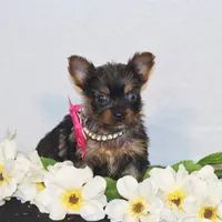 processed/ef3bf492-c4b6-4f52-a740-43f19df76f6d/facility/a1f3585d-1e32-4fef-a489-0d0c96162786