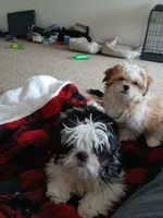 processed/ef447a33-00c3-4410-bac2-09b156eef6d9/facility/efa2c123-5c3a-46ae-908a-c6d8515826a0