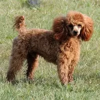 processed/ef49b302-2a16-4536-90b2-9b2a59b31d48/facility/31ac9d1b-09d0-4074-ae80-918643e27fb2