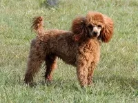 processed/ef49b302-2a16-4536-90b2-9b2a59b31d48/facility/31ac9d1b-09d0-4074-ae80-918643e27fb2